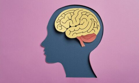 Rehabilitación Neuropsicológica Qué Es Importancia y Ejemplos