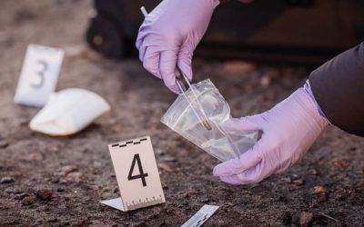 Estudiar el máster en psicología forense