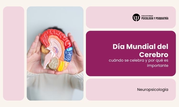 Día Mundial del Cerebro: cuándo se celebra y por qué es importante