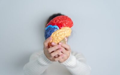 Día Mundial del Cerebro: cuándo se celebra y por qué es importante