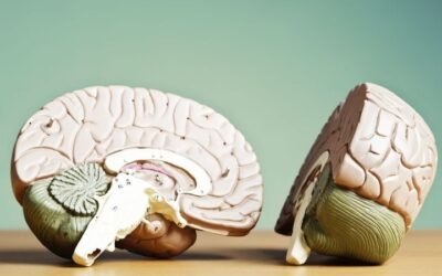 ¿Qué es el estructuralismo en psicología?